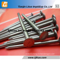 Diamond Point Polished Common Steel Nails